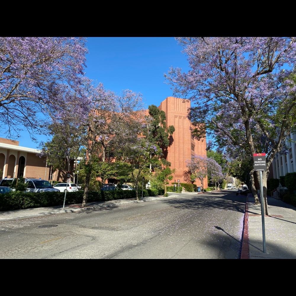 Meet your Posher, Xiaoling